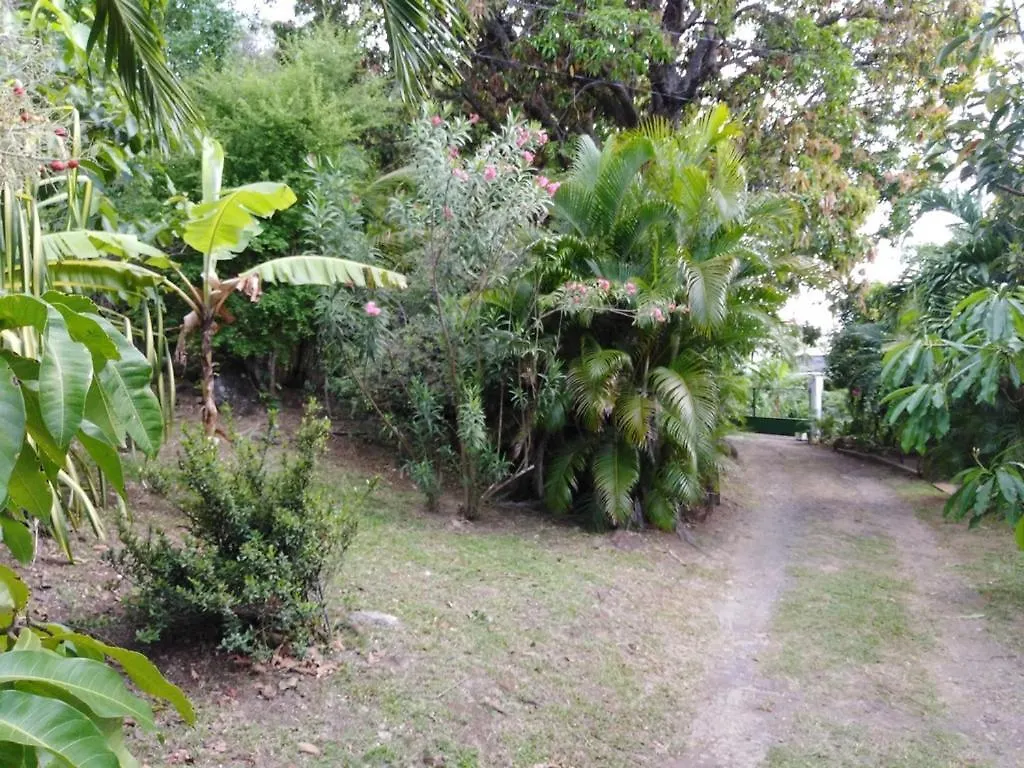 Au Vieux Manguier Villa Deshaies