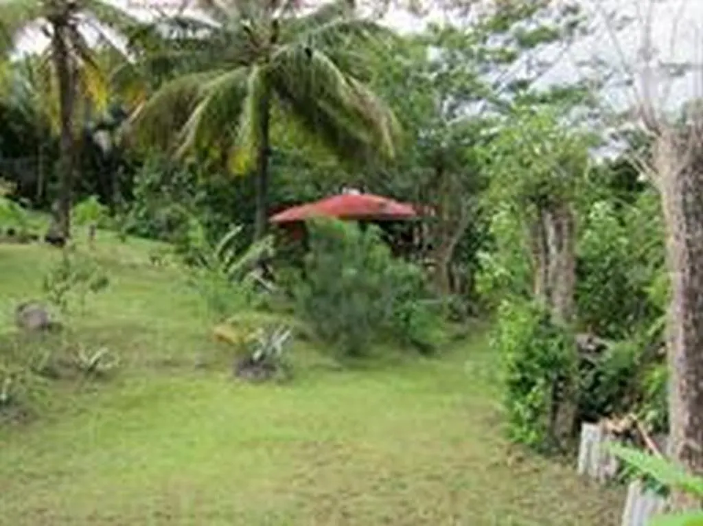 Semesterbostad Au Vieux Manguier Villa Deshaies Guadeloupe