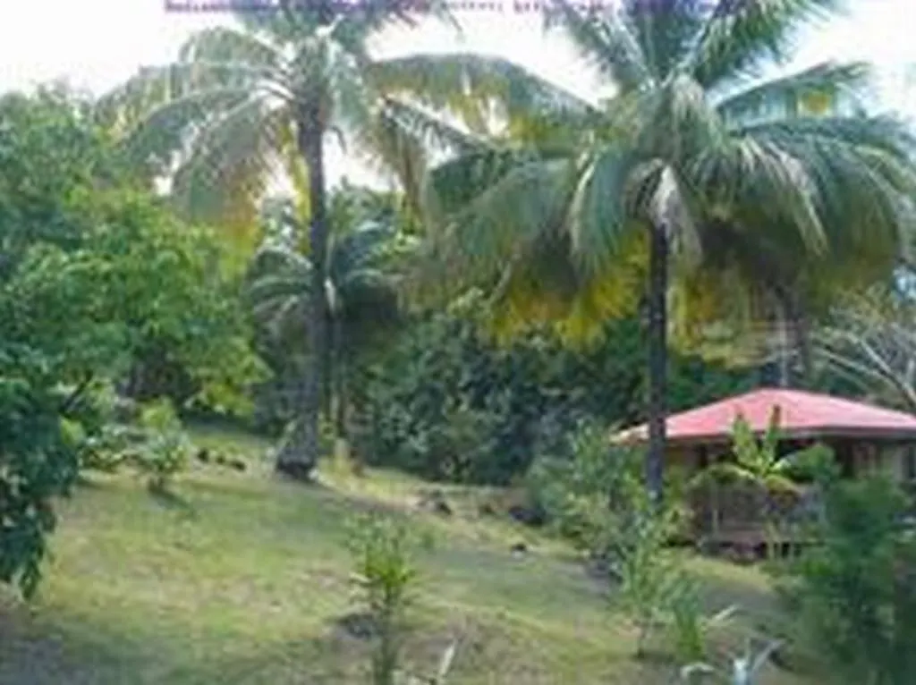 Semesterbostad Au Vieux Manguier Villa Deshaies