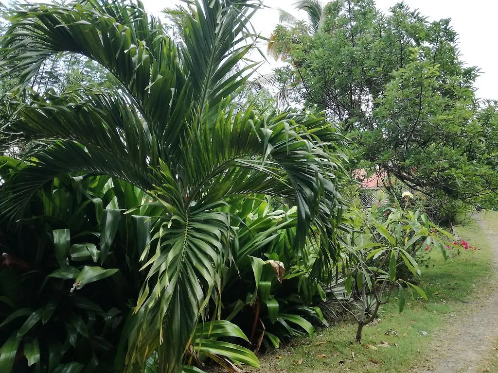 Au Vieux Manguier Villa Deshaies Semesterbostad
