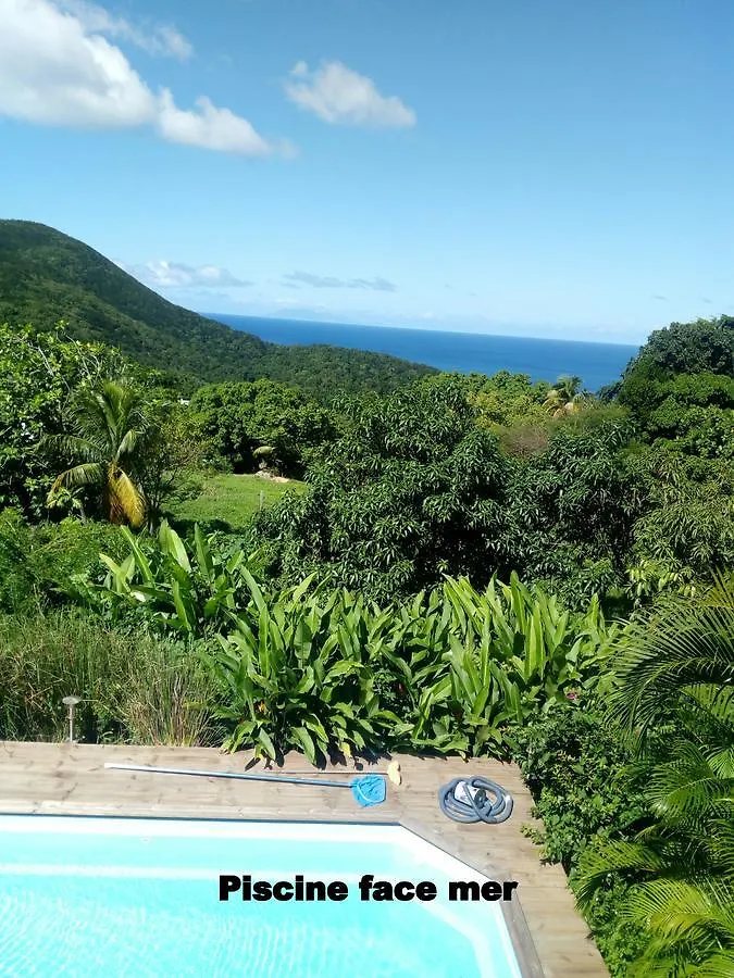 Semesterbostad Au Vieux Manguier Villa Deshaies Guadeloupe
