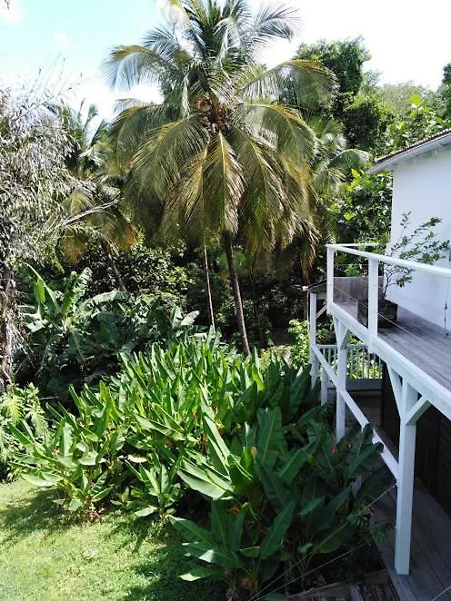 Au Vieux Manguier Villa Deshaies Guadeloupe